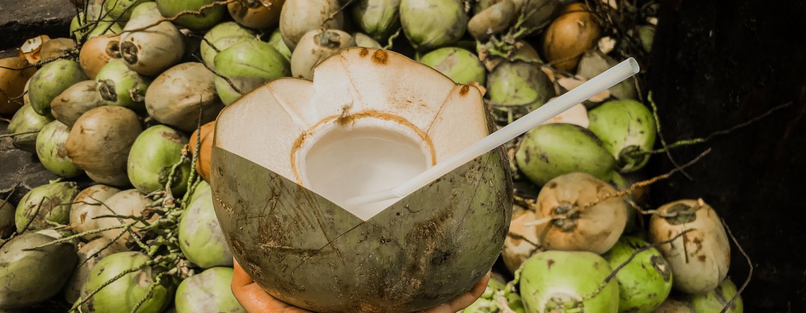 a person holding a tender coconut