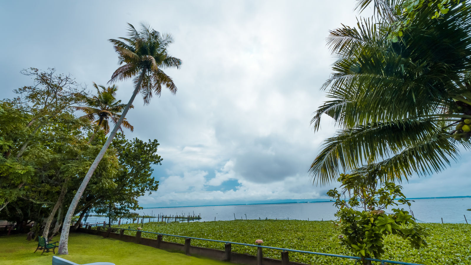 clouds in a field with trees - Rhythm Kumarakom