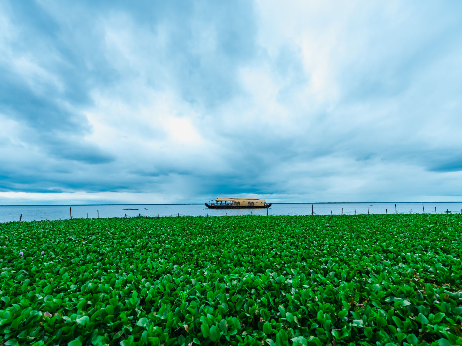 Lake Vembanad 