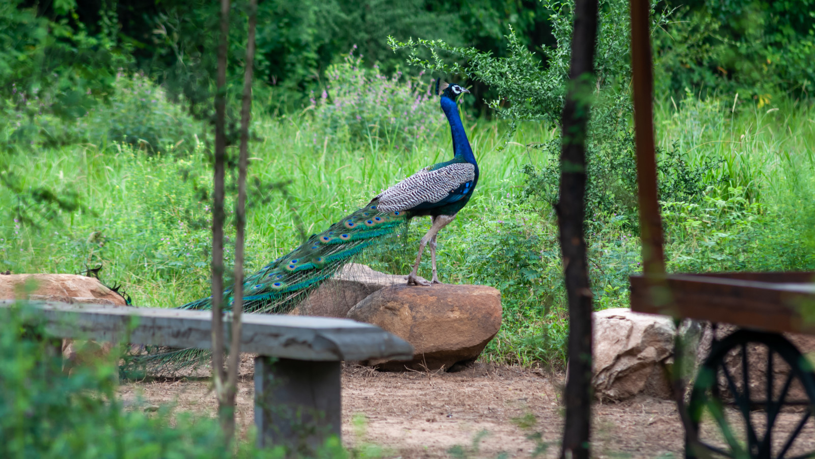 Cozy corners at Trees N Tigers, Sariska