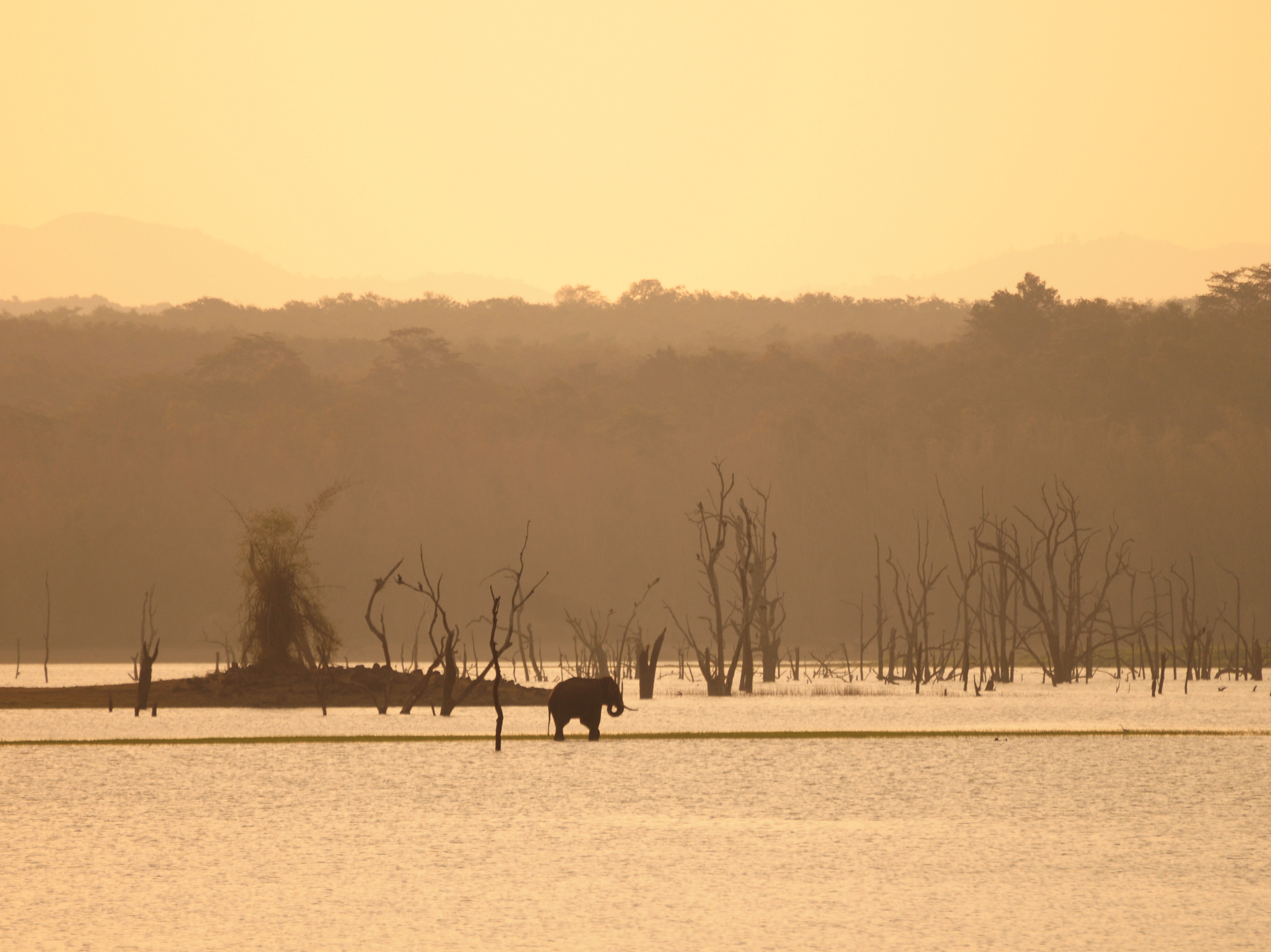 Kabini - Deccan Voyage (1)