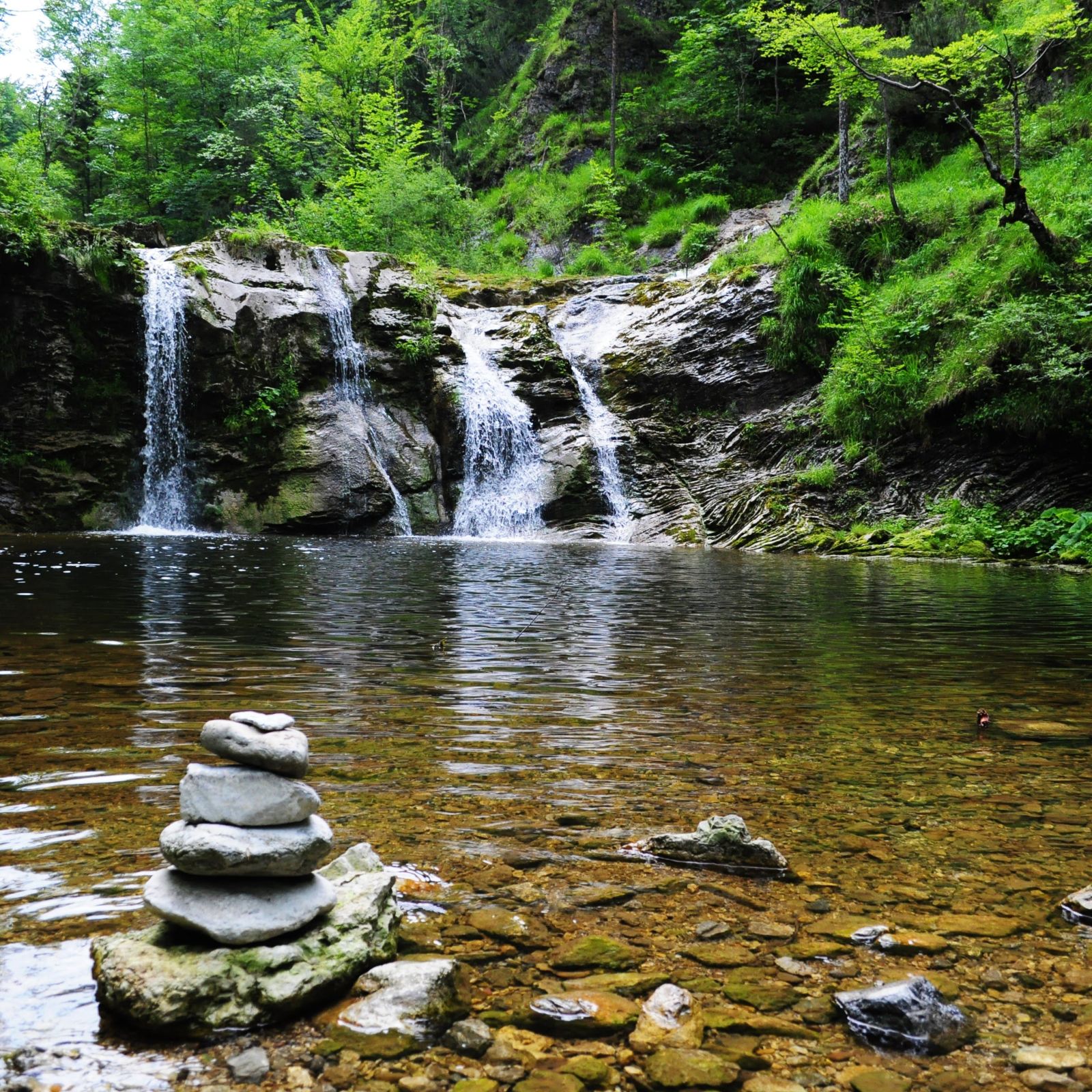 A waterfall surrounded by lush greenery during the day