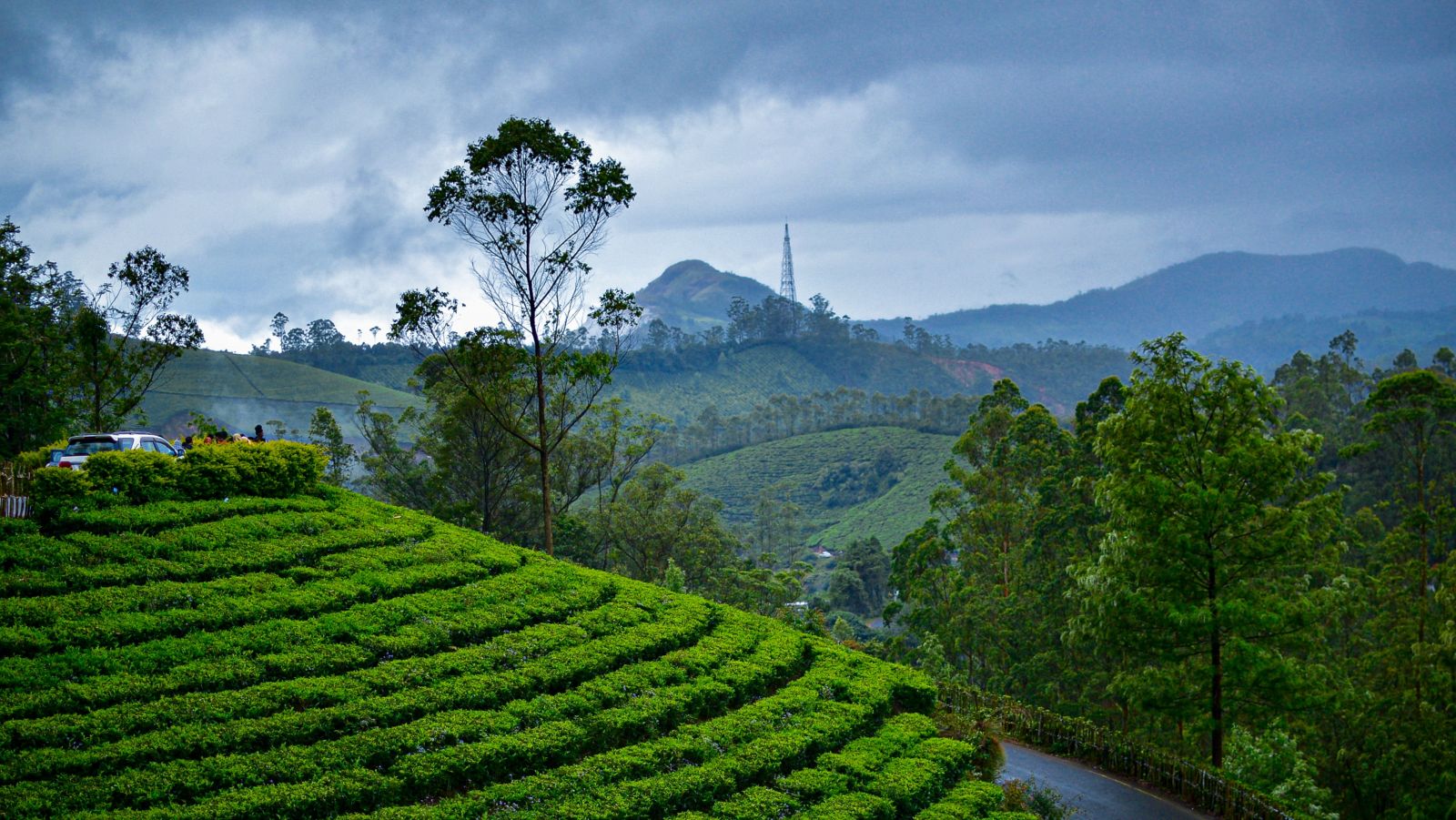 Well-tended tea gardens of Munnar with hills at the backdrop - best honeymoon places in Kerala