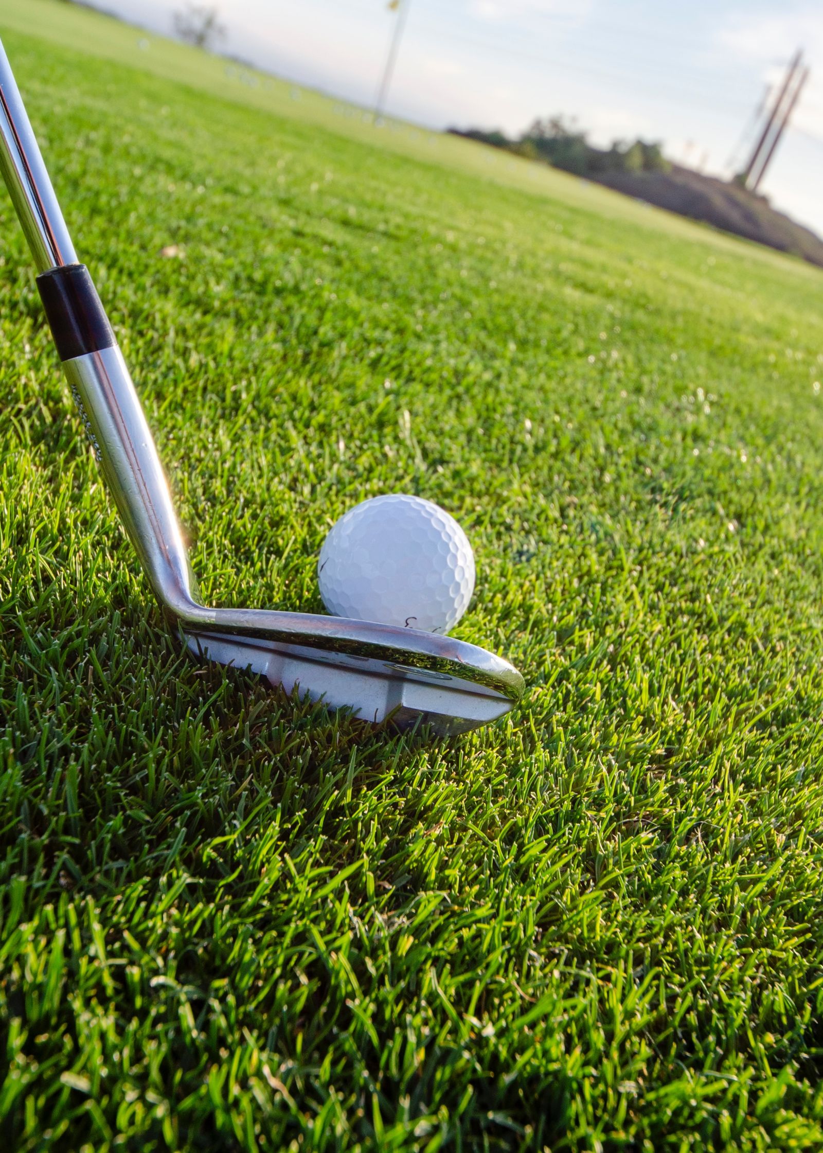 golf club and a golf ball in a golf course
