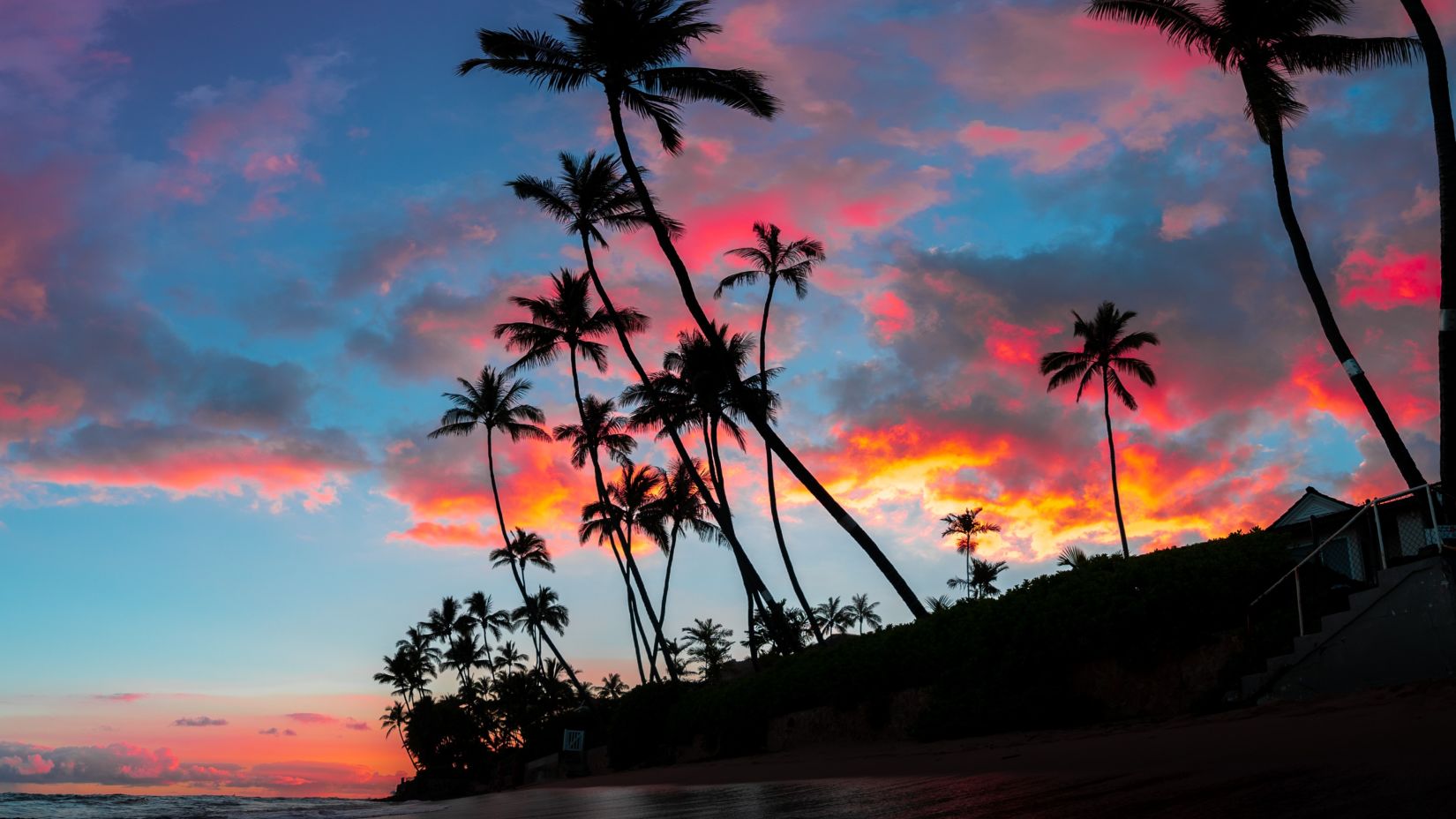 beautiful-panorama-tall-palm-trees-amazing-breathtaking-red-purple-clouds-sky