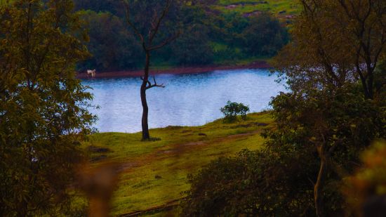 a water body surrounded by greenery near Zara's resort