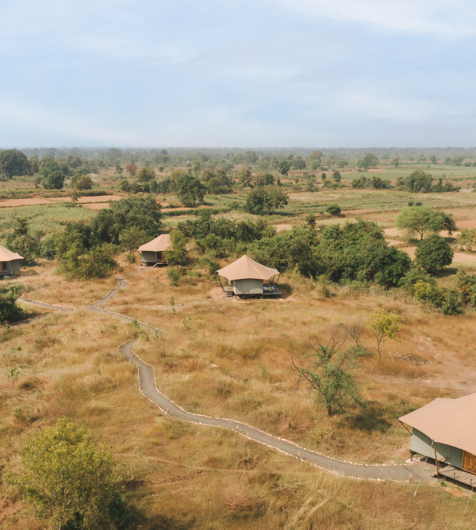 aerial view of tents at Trees N Tigers Tadoba