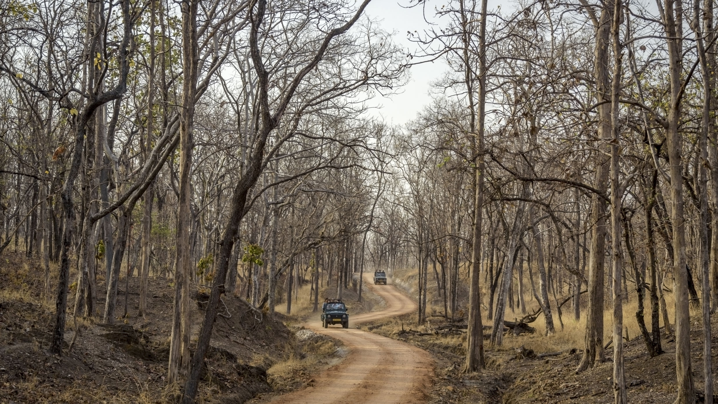 Jeep Safari