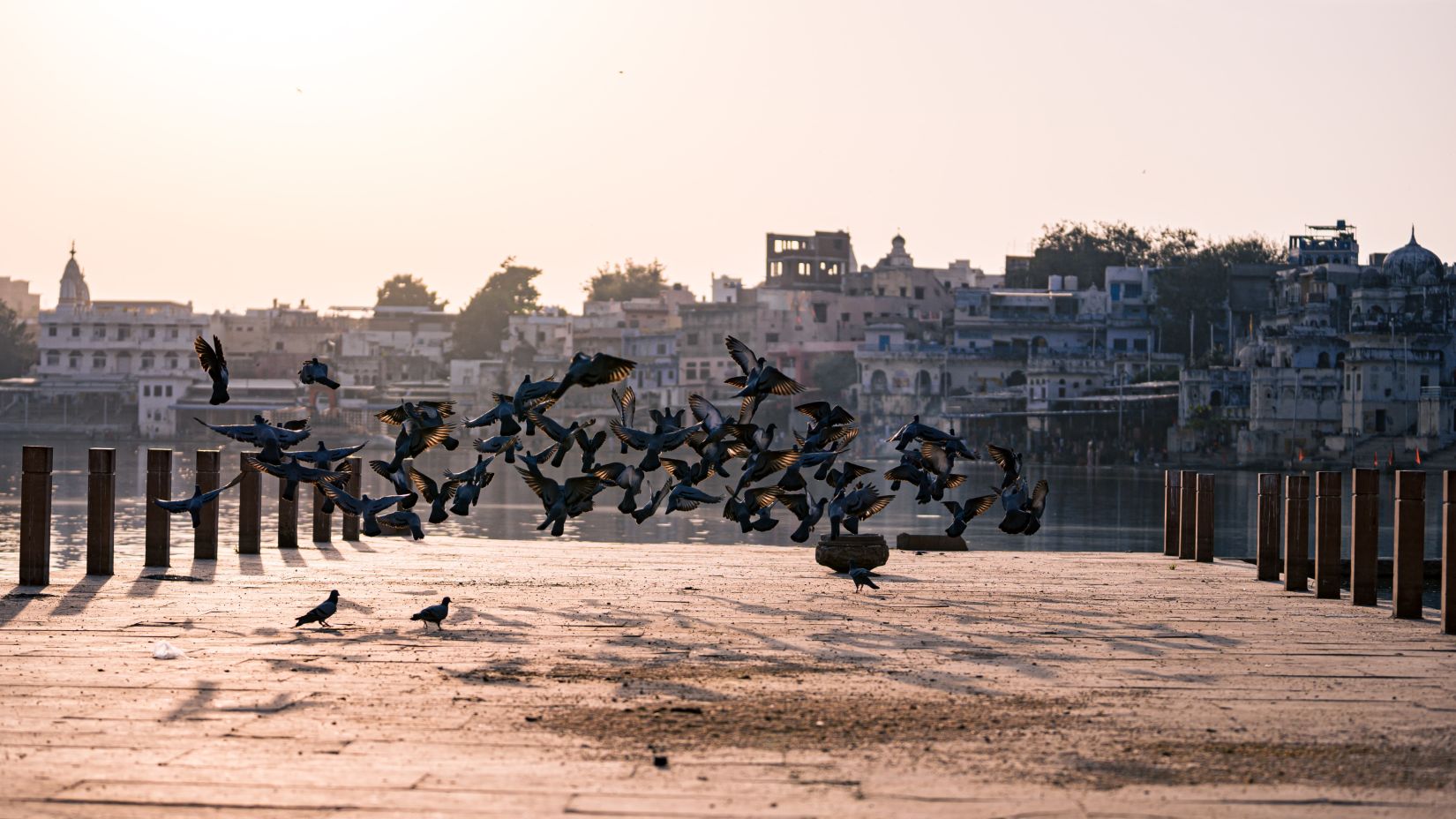 an overview of Pushkar Lake in the morning with birds flying 