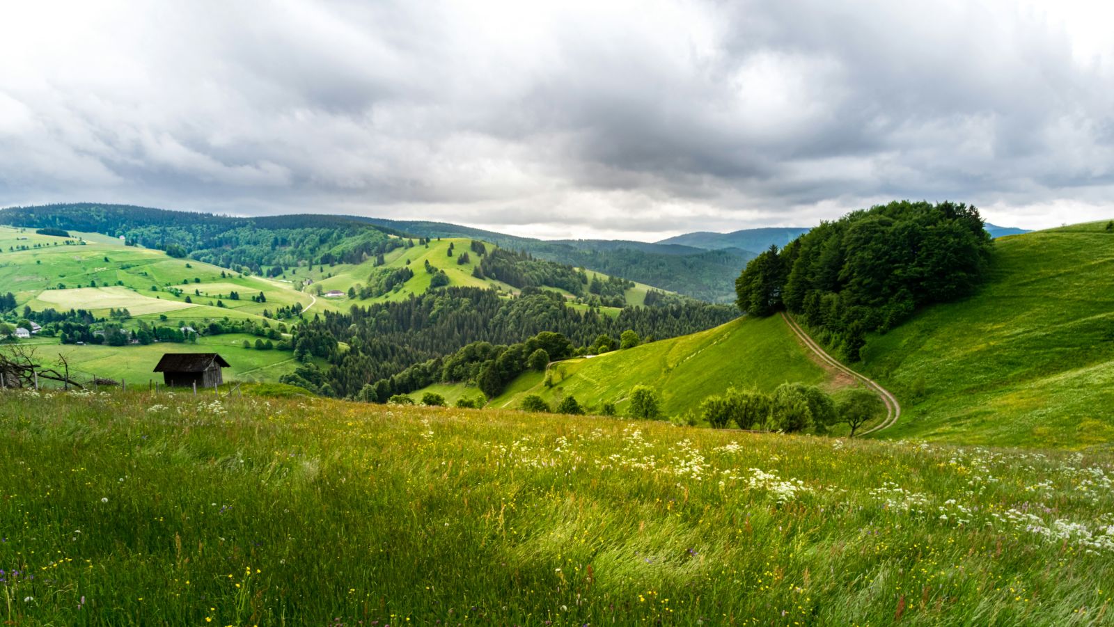 View of a Green Hill