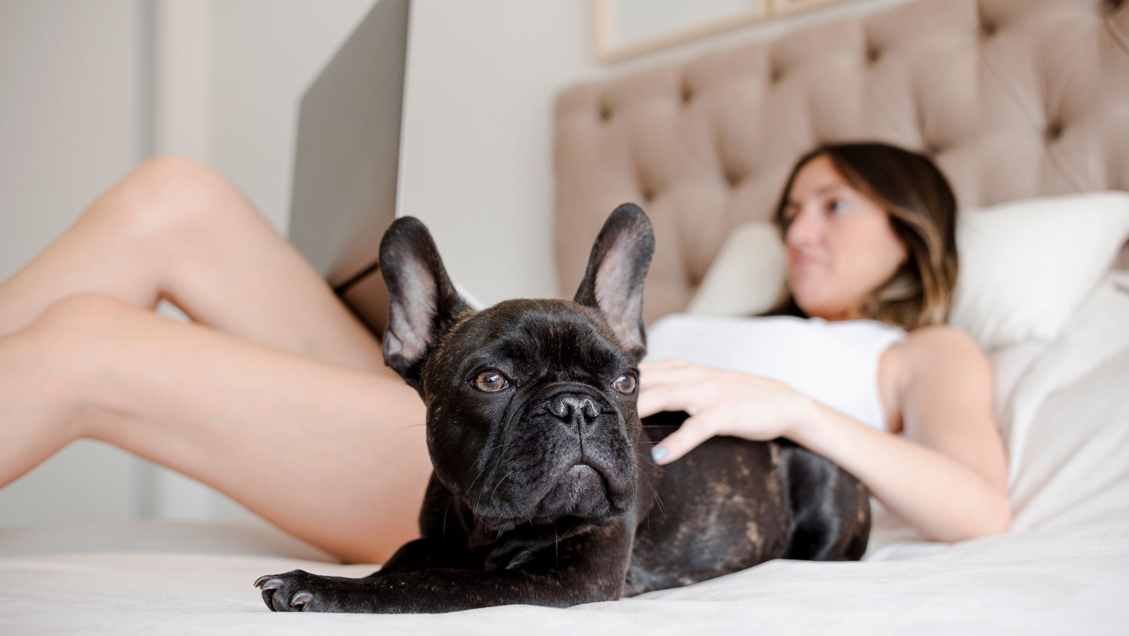 A woman on a bed with her dog at our pet friendly Bangkok hotel - Night Hotel Bangkok 2