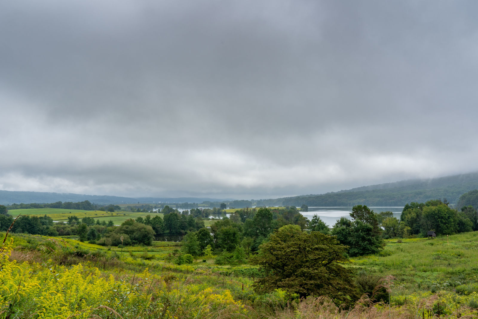 beautiful-view-landscape-with-greenery-cloudy-sky