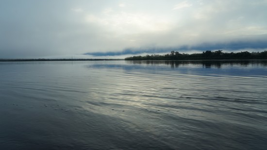 Image of a river with trees in the distance