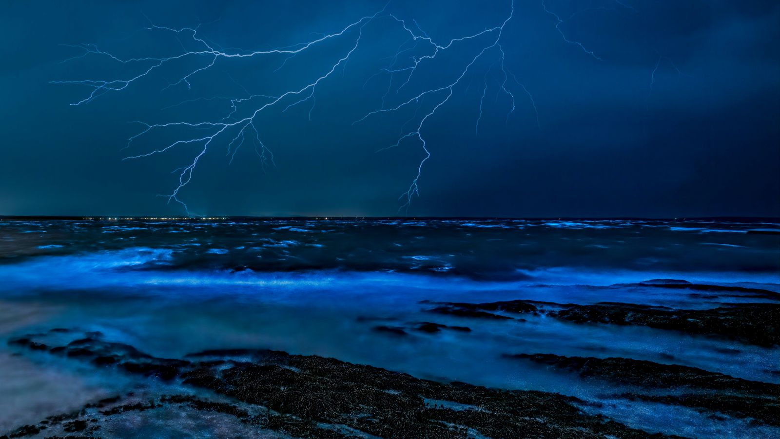 a majestic view of Phytoplankton bioluminescence on the water with a lightning in the background