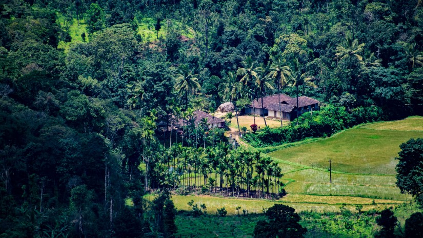 a small house nestled in amidst lush green forest