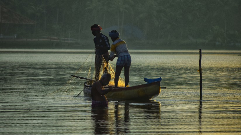 people fishing in a lake