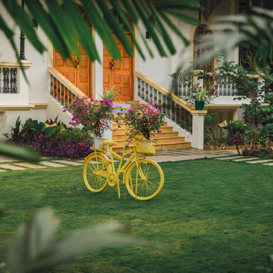 a yellow bicycle in the lawn