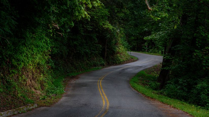 a winding road through a forest