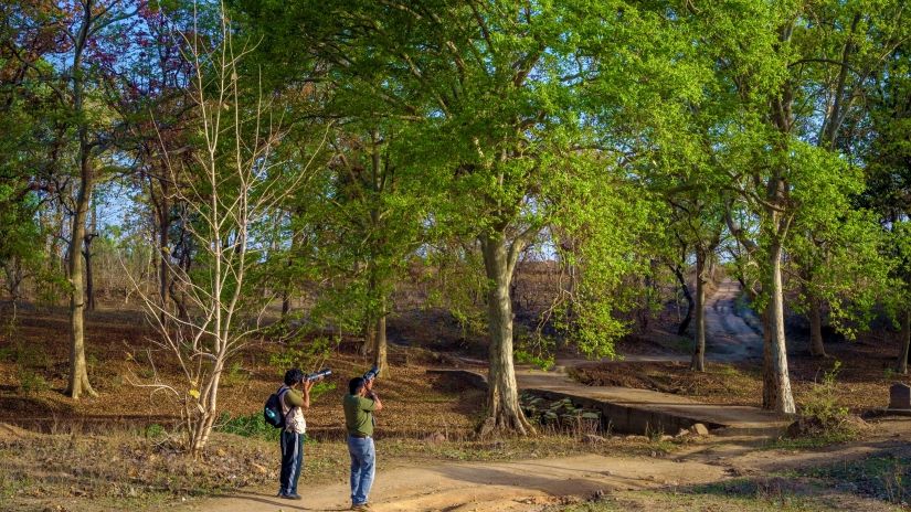 Nature walk