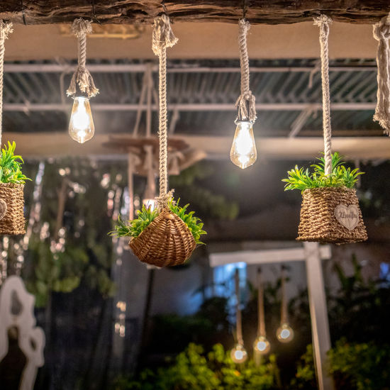 potted plants hanging from a ceiling