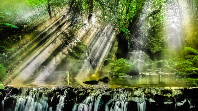 Waterfall in a forest and sunlight streaming through the trees