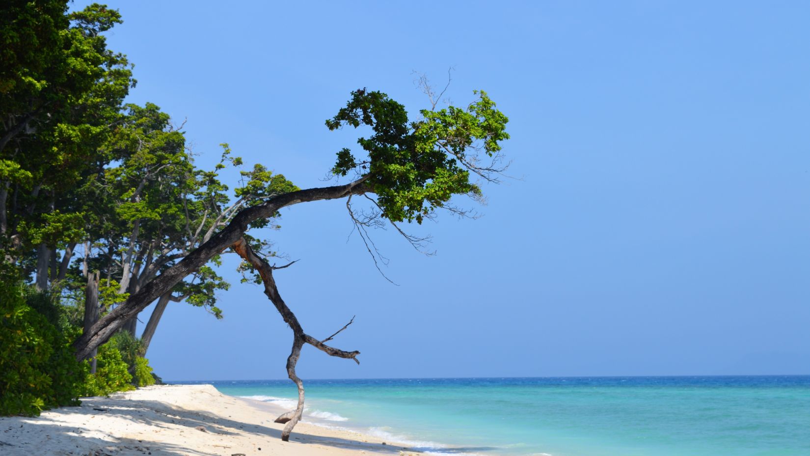 a calm seashore