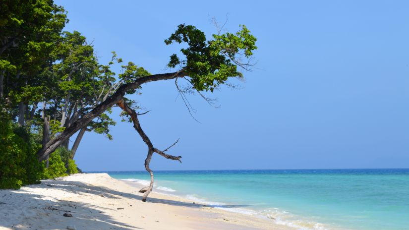 a calm seashore