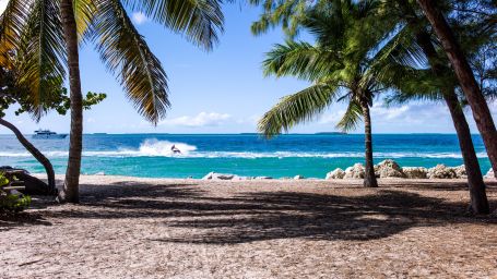 beach side with trees and clear blue sky 