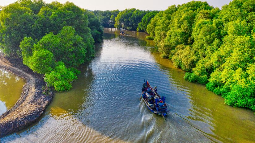 a boat kayaking through the mangrove forest