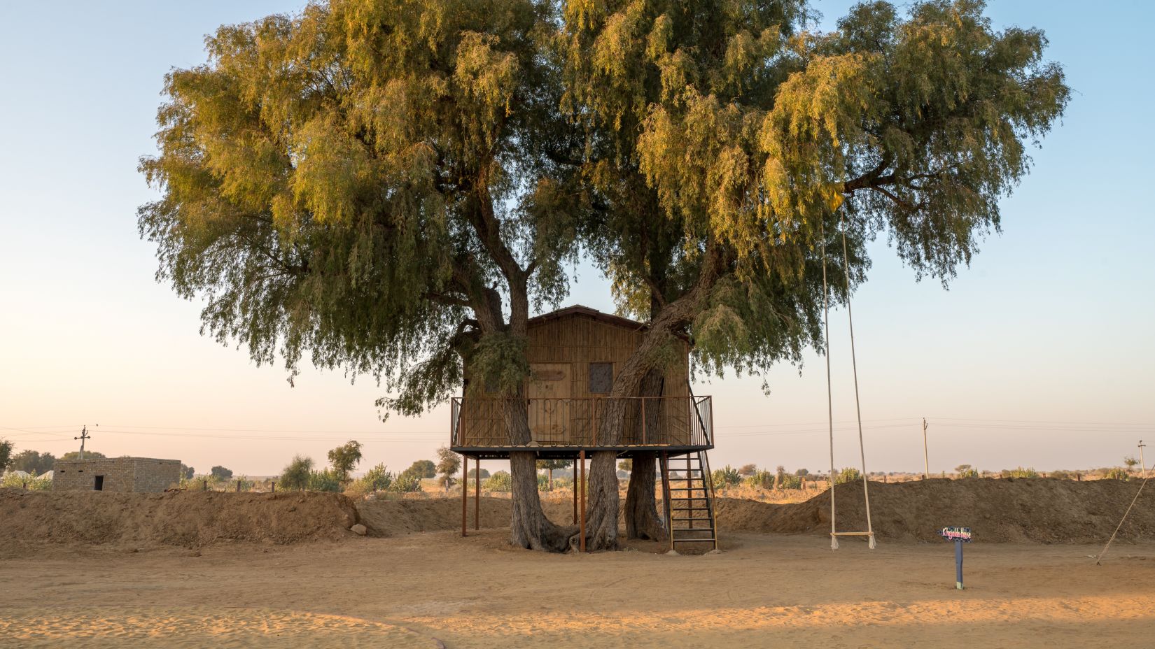 The Tree House is built on a large tree with a lot of foliage - Karwaan Jaisalmer