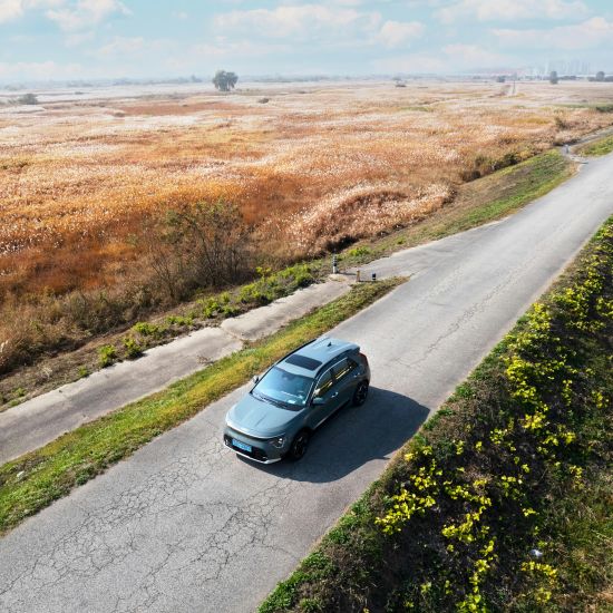 Car driving by greenery surrounded