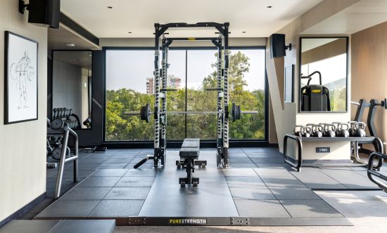 alt-text Hotel gym with a variety of machines and weights, overlooking outdoor scenery through glass windows, and featuring mirrors, at Parallel Hotel Udaipur