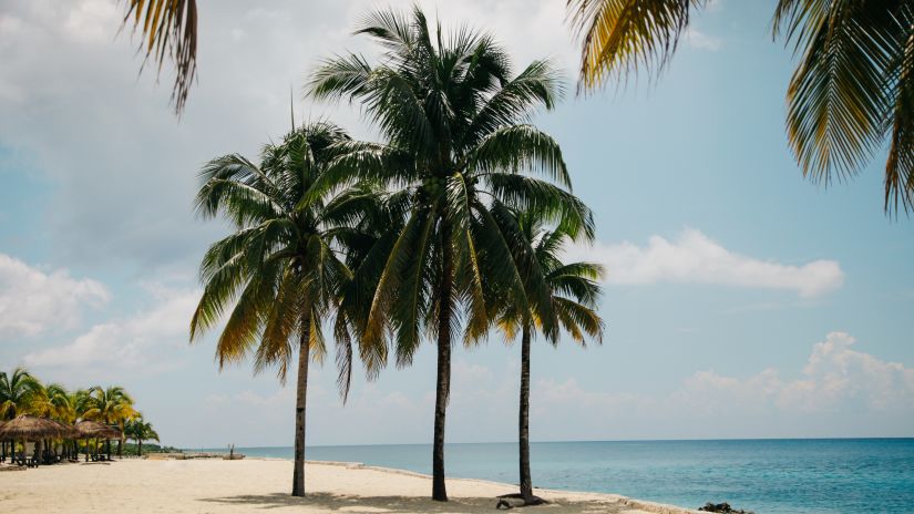 coconut-palm trees on a white sand beach next to clear blue waters and azure sky with clouds