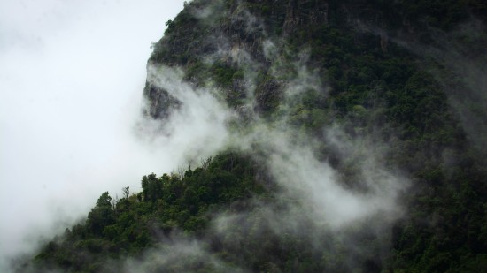 A serene view of mountains covered in thick fog