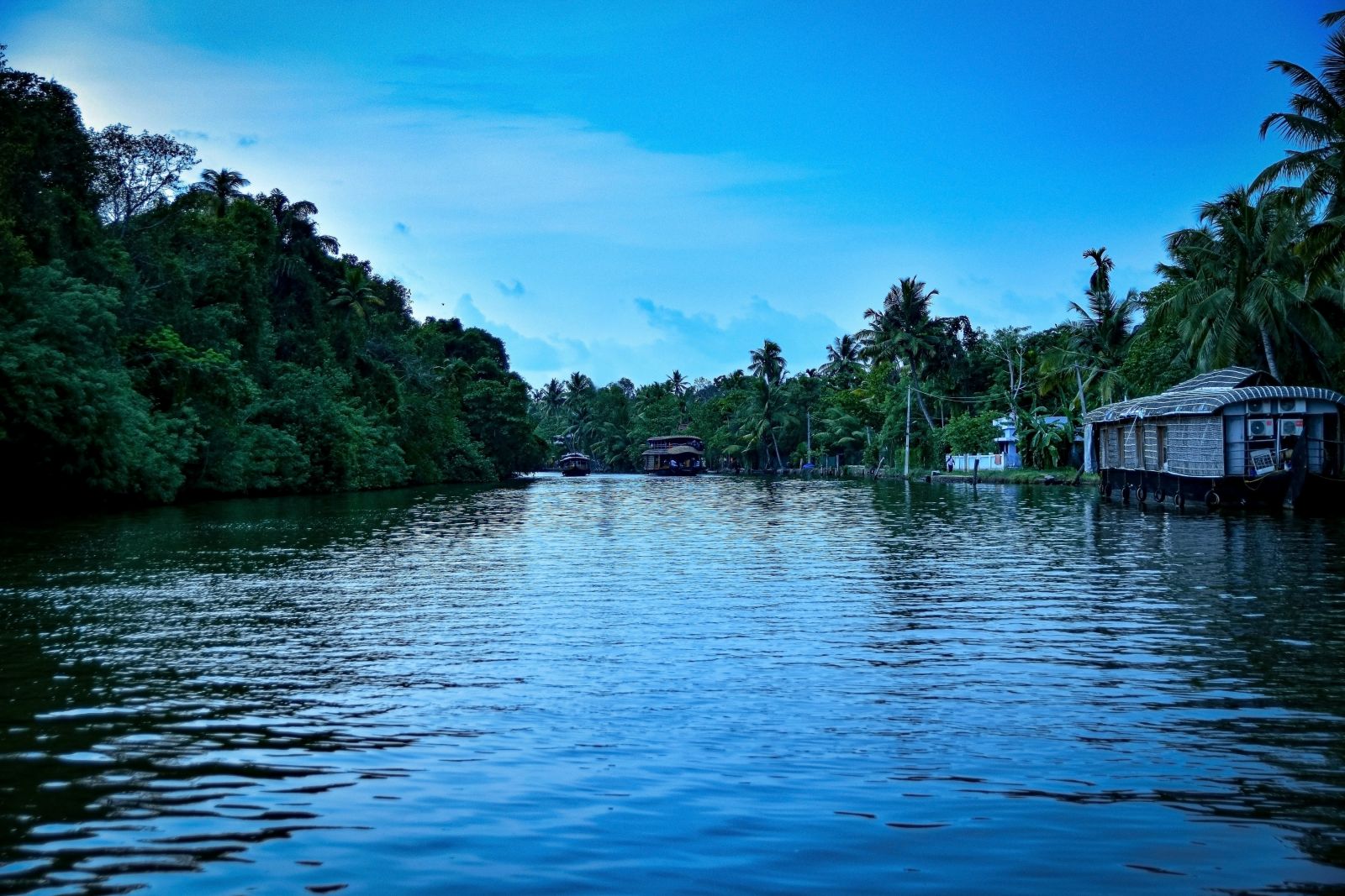 A stunning view of the lake and surrounding greenery in Kumarakom - Kumarakom Tourism