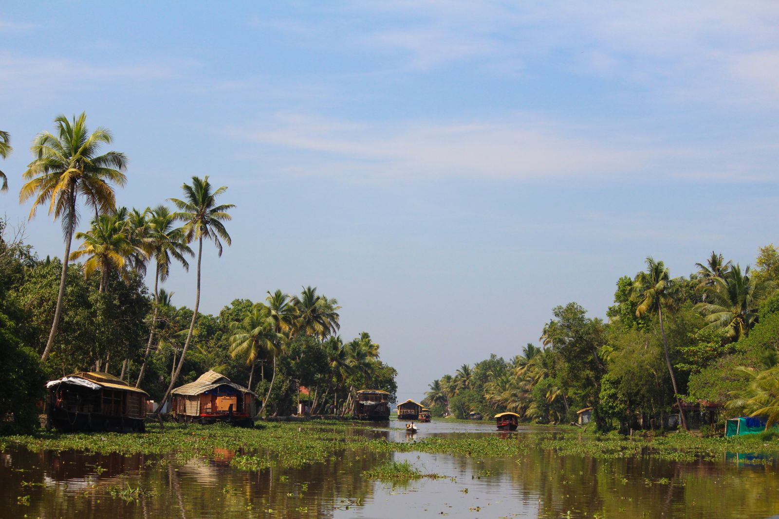 view of houseboats on kerala backwaters