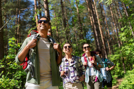 alt-text Four adults hiking in a lush forest, one of them pointing forward, all wearing backpacks and casual hiking attire, suggesting an engaging and friendly outdoor activity.