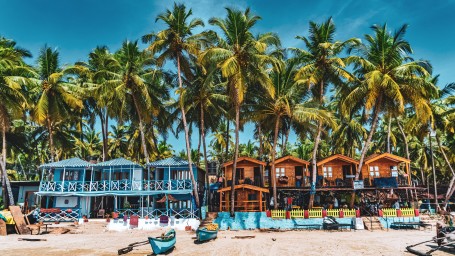 Beach in goa with several boats lining up and palm tress shadowing the beach