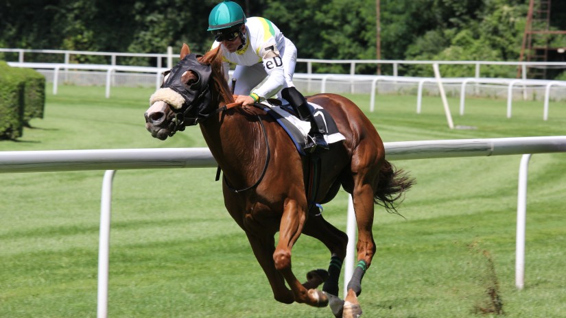 a jockey on a horse at Mahalaxmi Race Course, Mumbai