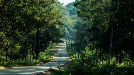 road in kabini