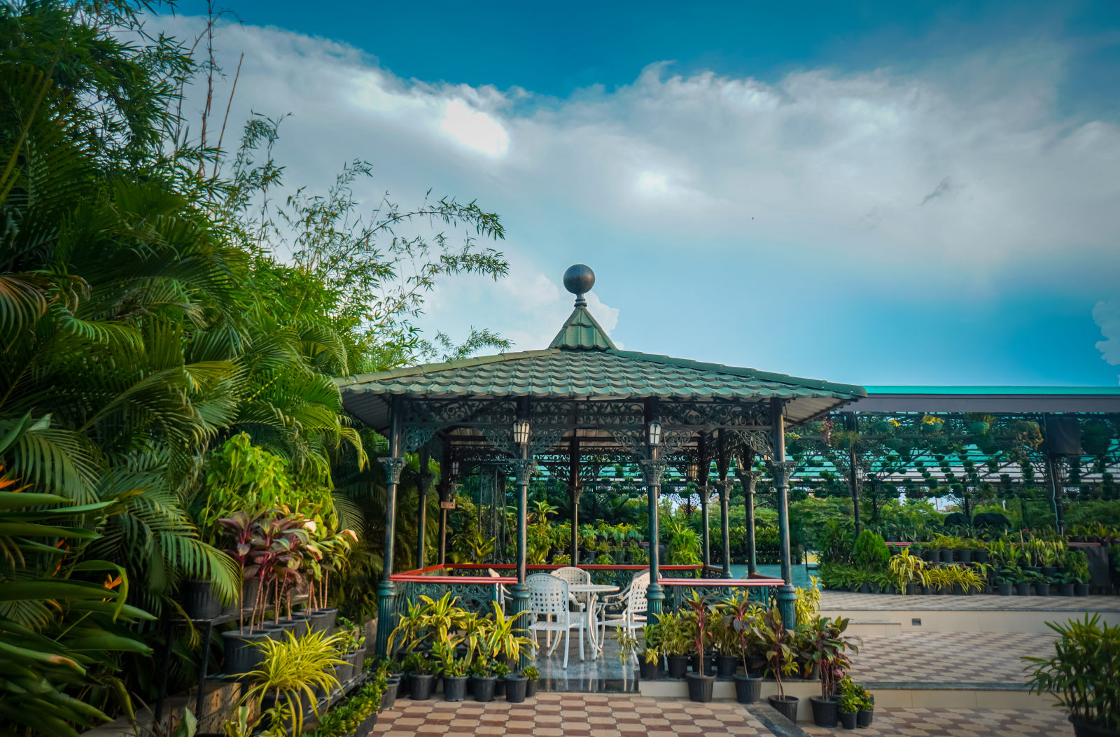 Green House- Gazebo