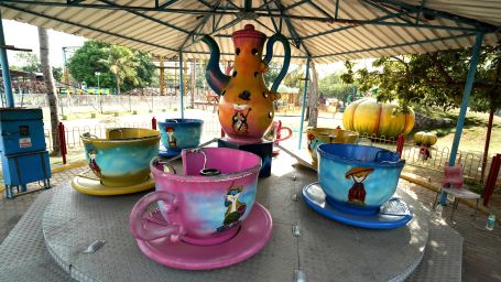 Tea cup ride amusement park 