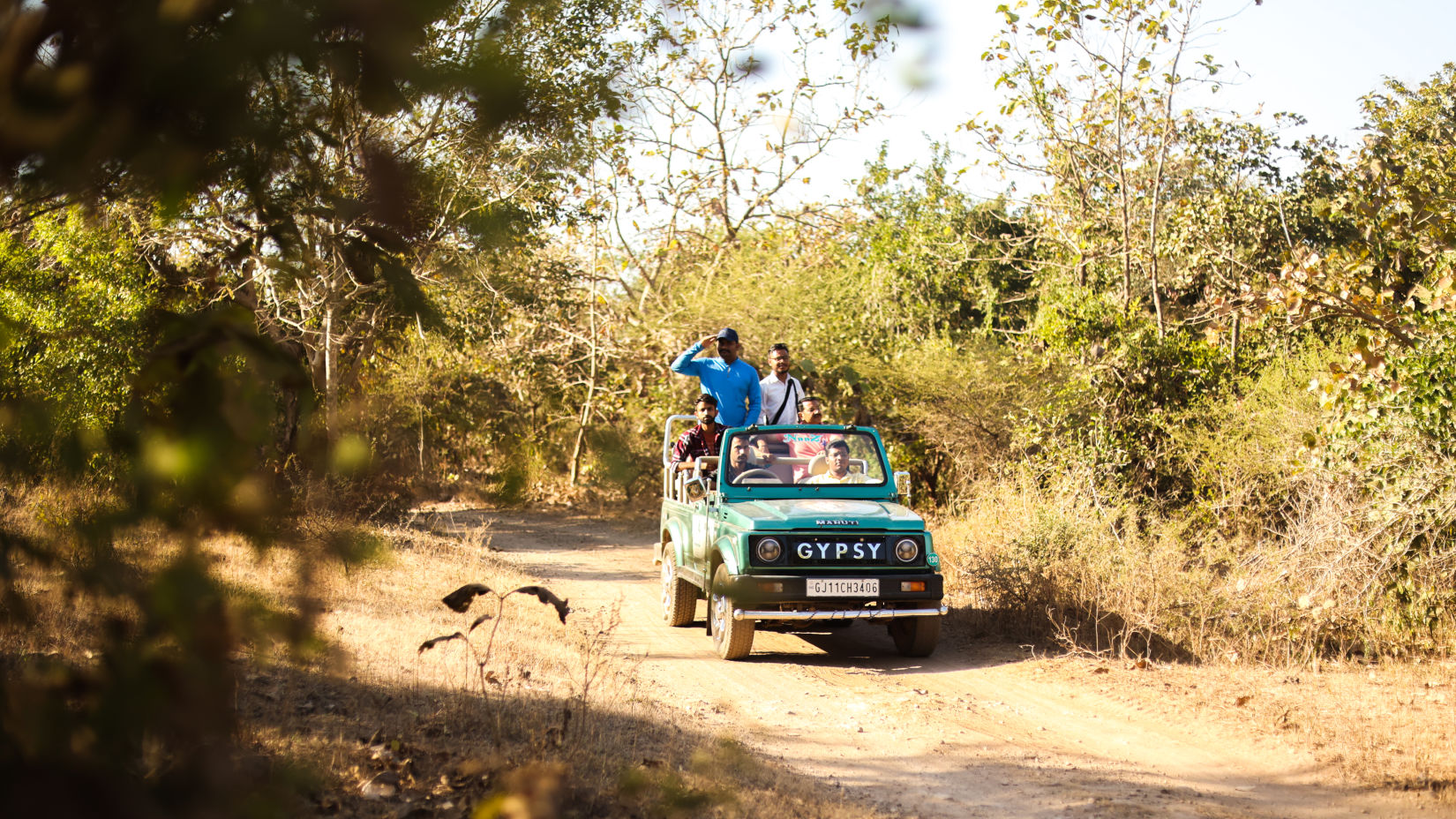 A safari jeep ride amidst the jungle - Jagira Ananta Elite Gir