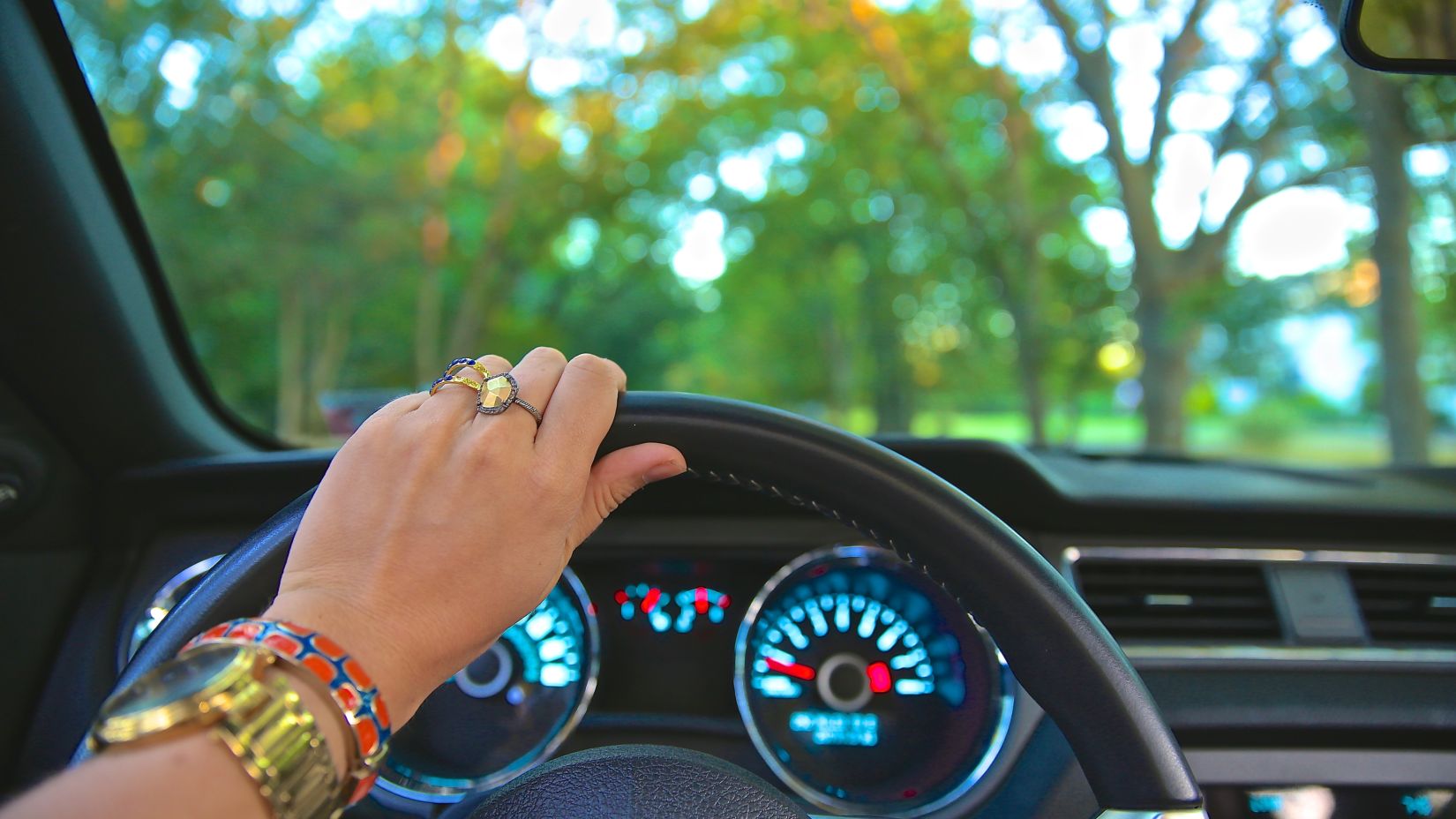 A woman's hand on a steering wheel with greenery showing outside the windscreen