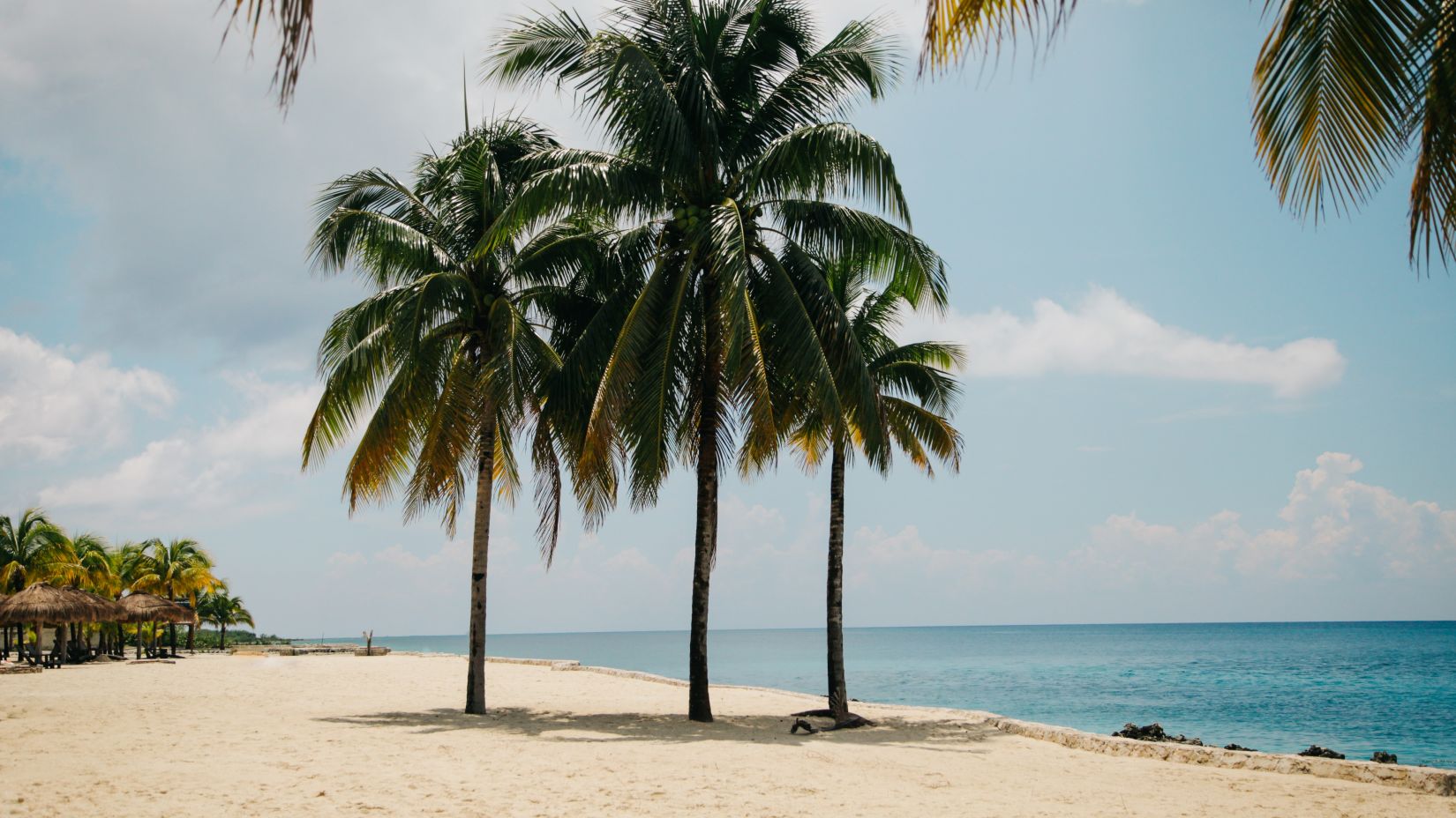 coconut-palm trees on a white sand beach next to clear blue waters and azure sky with clouds