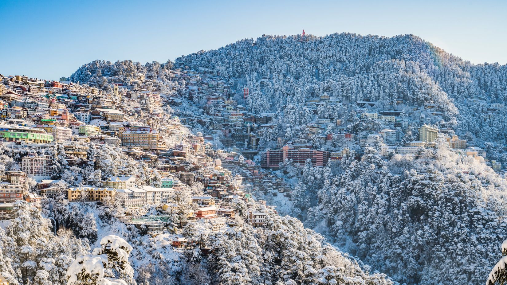 Shimla covered in show