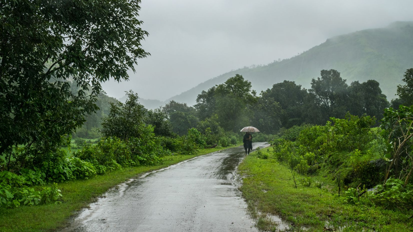 a person walking down a road while it rains