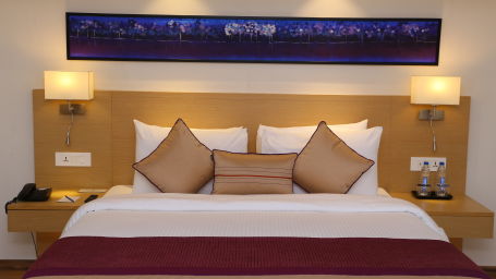 Deluxe Rooms Sarovar Portico Ahmedabad 6