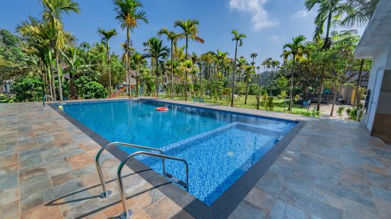 Side view of Swimming Pool surrounded by palm tress  at FEEL FREE RETREAT