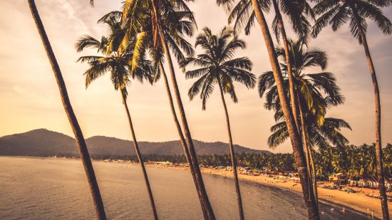 a tropical beach with clear waters and palm trees 